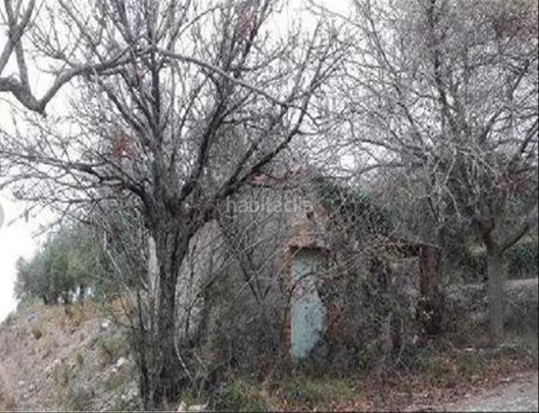 Foto 9b6a7f8b-e660-4ac0-bc64-e8a6e9dfef40. Fondo rustico in Centre Reus