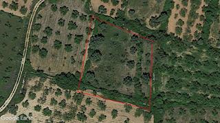 Rural plot in Albocàsser