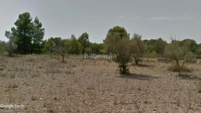 Foto 89cc8ae7-7f48-4588-aaa7-5399b0be9646. Rural plot in Vilamarxant