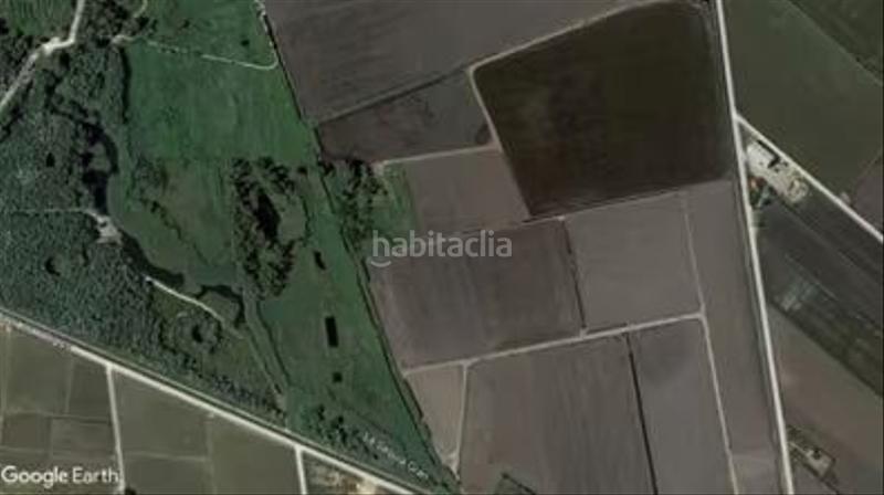 Foto 0d270b7a-56c6-41f0-9bd0-ba948c9ac2fe. Fondo rustico in Casc Antic Amposta