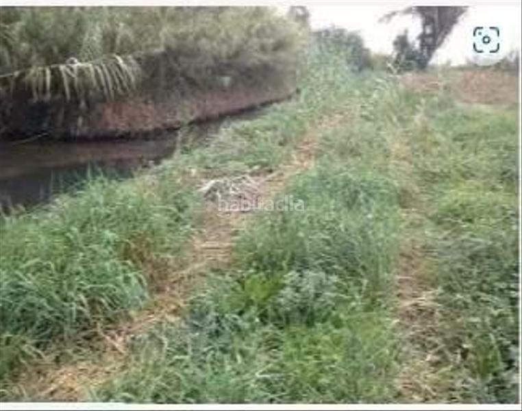 Foto 614fea50-b816-46e6-838f-3a71429c38ae. Fondo rustico in Casc Antic Amposta