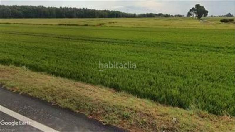 Foto 837844f3-5e48-469b-a3e7-eda1da3df8ec. Fondo rustico in Casc Antic Amposta