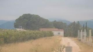 Finca rústica a Roquetes. Cítricos regadío, caseta de campo y almacén