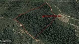 Finca rústica a Corbera d´Ebre. Finca de almendros  sin cultivar con caseta