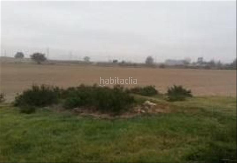 Foto 50e86029-e510-49ca-8e2b-0534f32bc413. Propriété dans El Carril - Paseo de Chapi Villena