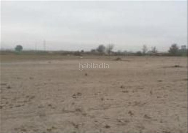 Foto edde9968-0d4d-47e2-97b0-190caeacf165. Propriété dans El Carril - Paseo de Chapi Villena