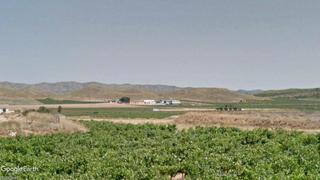 Rural plot in Jumilla. Viñedo de regadío