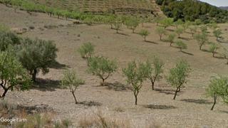 Finca rústica a San Cristóbal - San Diego. Finca almendros con caseta de campo