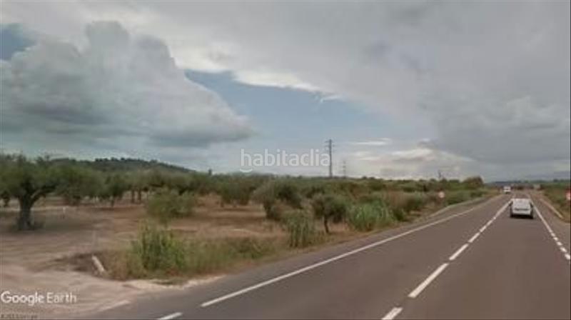 Foto 61fef92d-06a7-4766-84a8-a230764c2915. Finca rústica olivar de regadío en la ribera del ebro en Garcia