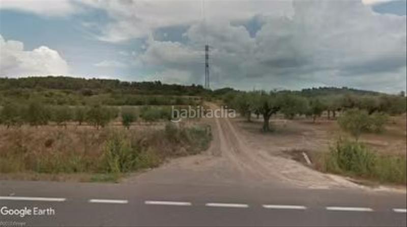 Foto 75566a14-11ed-493b-bec2-0f2421a57580. Finca rústica olivar de regadío en la ribera del ebro en Garcia