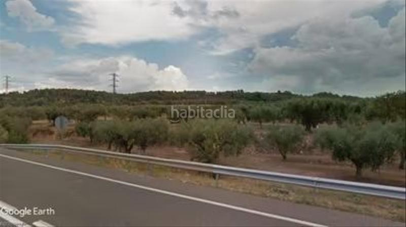 Foto cb495060-24a8-4d6a-9473-28eeee7dae8d. Finca rústica olivar de regadío en la ribera del ebro en Garcia