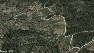 Rural plot in Aldover. Cítricos abandonados, almacén y caseta