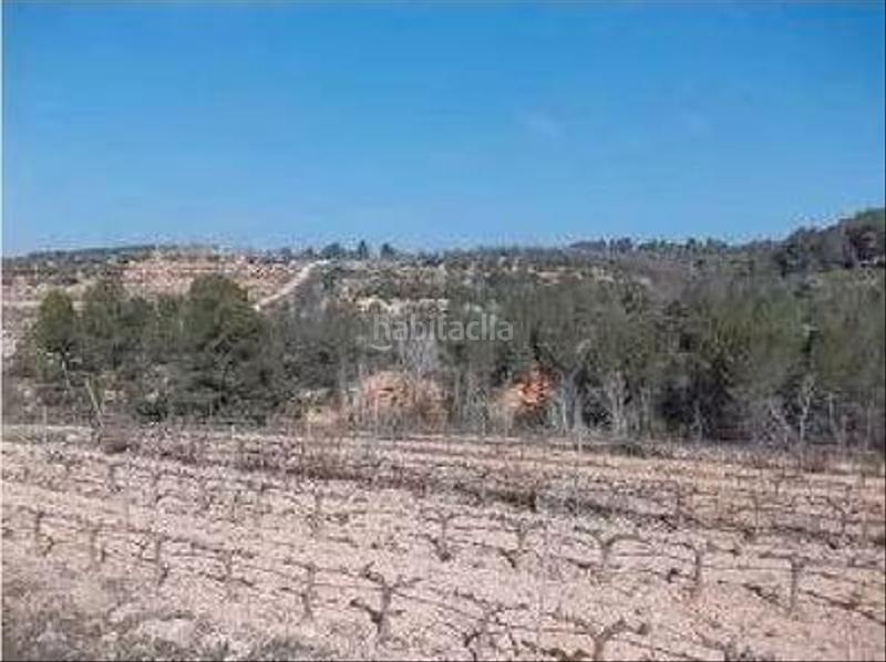 Foto 0eb63408-d671-4d28-b18c-e5aa6e473797. Fondo rustico in Guiamets (Els)