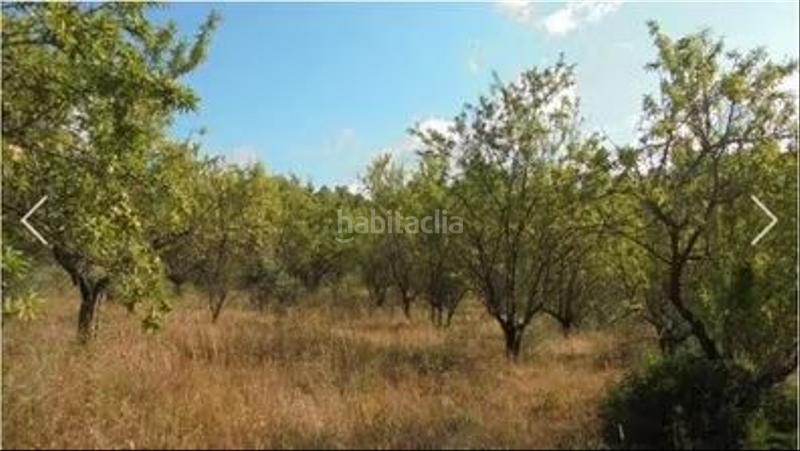 Foto e55512b9-7b11-4c2a-910a-3a20fb938b4d. Fondo rustico in Guiamets (Els)