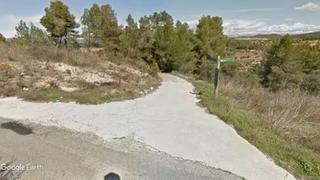 Finca rústica a Guiamets (Els). Finca de almendros y viña con vivienda
