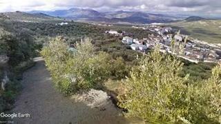 Rural plot in Priego de Córdoba. Olivar con caseta de campo