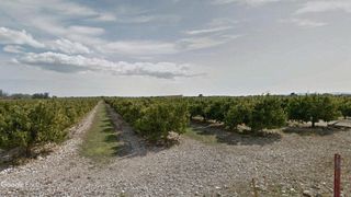 Finca rústica en Traiguera. Finca de citricos con almacen