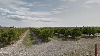 Finca rústica a Traiguera. Finca de citricos con almacen