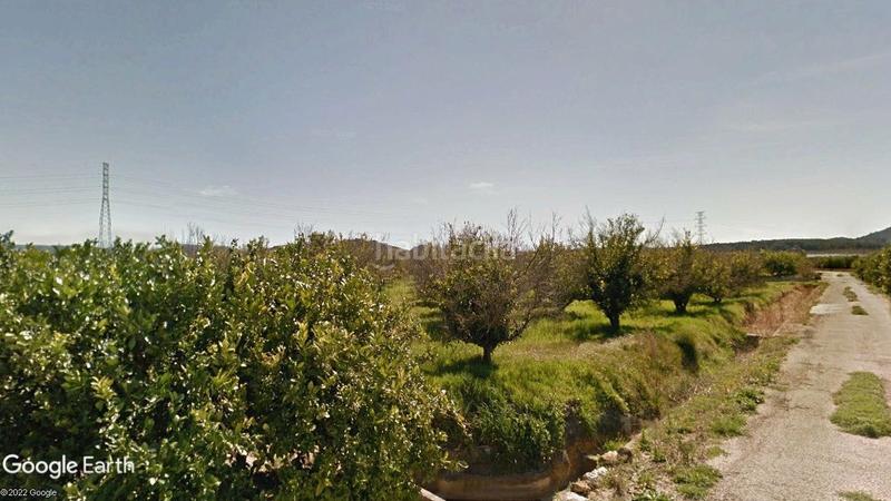 Foto 5ed3a5e7-ac2e-4ee5-bdc8-e9afa5399ade. Finca rústica en Manuel