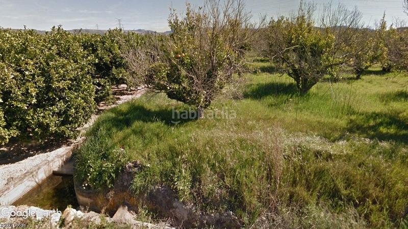 Foto 7052a5f2-af05-4903-800f-35c9bdf952d8. Finca rústica en Manuel