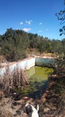 Finca rstica en Alcal de Xivert. Parcela con piscina y barbacoa, facilidades de pago