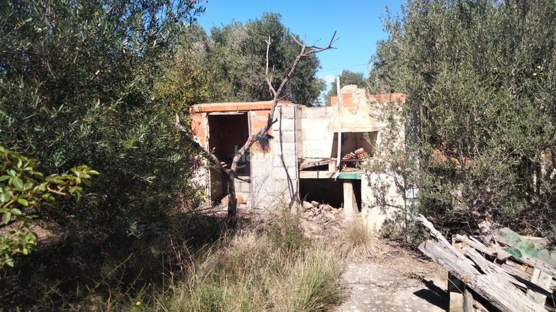 Foto 2a3fa65e-f77c-4a43-9386-6f3a0af687b7. Rural plot in Alcalà de Xivert
