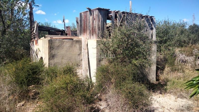 Foto 2db58077-800e-4006-a63a-330bcfb85d5e. Rural plot in Alcalà de Xivert