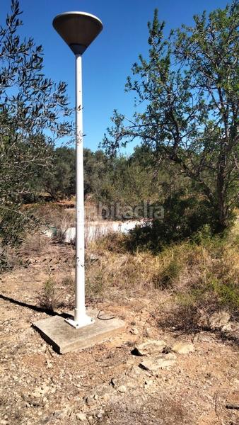 Foto 7265a4d0-b001-4fb2-9a49-7f849d7bf952. Rural plot in Alcalà de Xivert