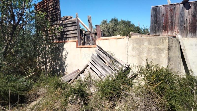 Foto db2d52a2-bc9a-43dd-b559-c139185fc296. Rural plot in Alcalà de Xivert