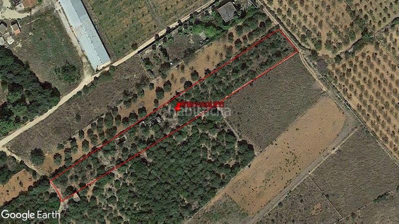 Foto e3d999f7-971e-4ba1-8e49-4d6fcb53fcb7. Rural plot in Alcalà de Xivert