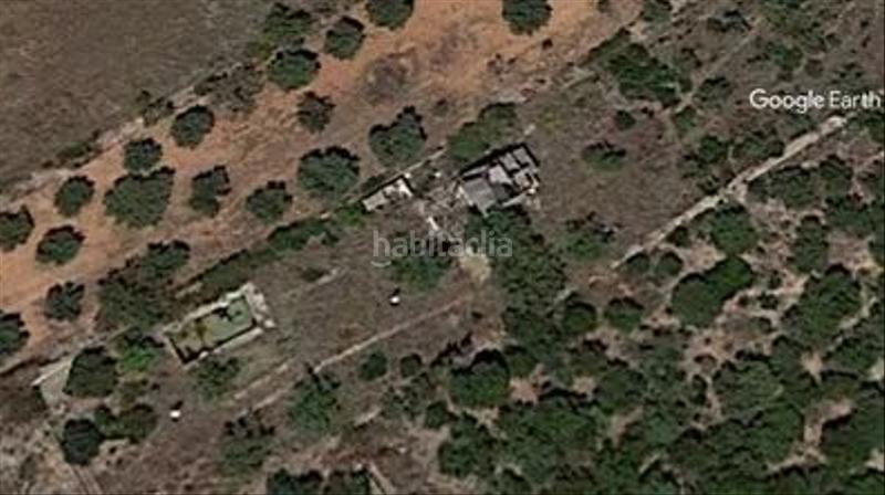 Foto f10f9541-a834-4946-9e4a-bf0f1ca9b7fa. Rural plot in Alcalà de Xivert