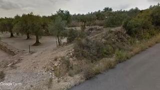 Finca rústica a Canet lo Roig. Finca con olivos y algarrobos, para recreo