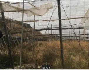 Finca rústica a Santa Fe de Mondújar. Invernaderos a restaurar en huechar