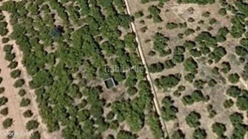 Foto 4befd1ee-64ea-4b68-a359-d895bc83d67b. Propriété dans Centro Burriana