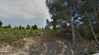 Propriété à Venta del Moro. Viña y caseta junto a la carretera