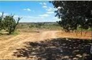 Finca rústica a Turís. Tierra de labor, parcela para casa campo