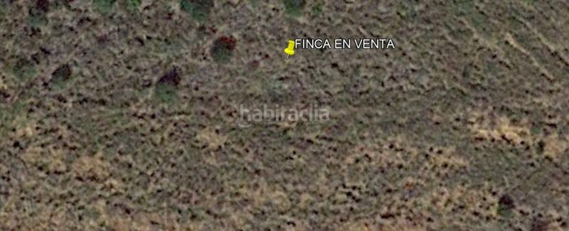 Foto 45b73b24-6a19-443b-9d6e-d3cd60658798. Landgut in Torreblanca