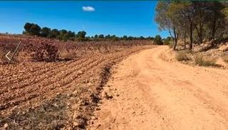 Propriété à Venta del Moro. Viña proxima a casas de pradas