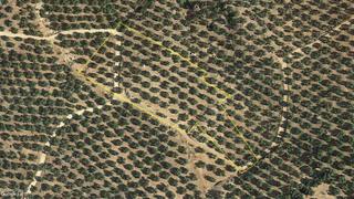 Finca rústica a Arroyo Del Ojanco. Olivar de secano con buena tierra