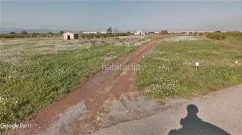 Foto a3d3c0cd-2dab-4d74-8a8d-68cbba6cece7. Finca rústica a Centro Burriana