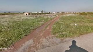 Propriété à Centro. Uso recreativo, campa, animales - inversión