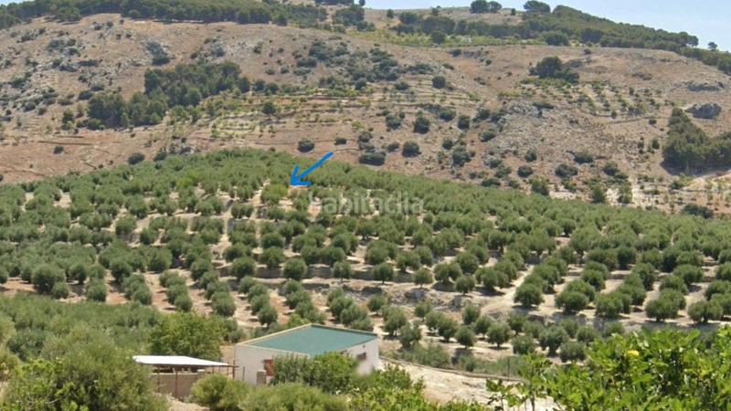 Foto 439aaed4-389a-413f-b543-43515841da41. Propriété dans Pegalajar