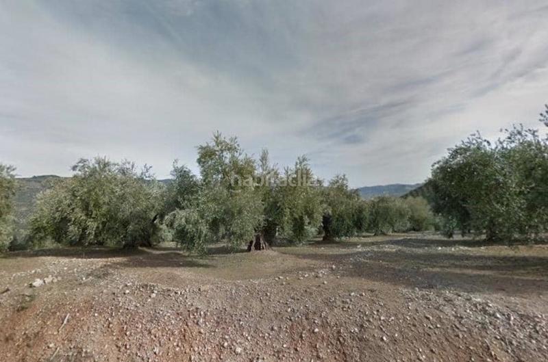 Foto eb02fbf0-2e23-46c2-9801-969846a6cca3. Propriété dans Pegalajar