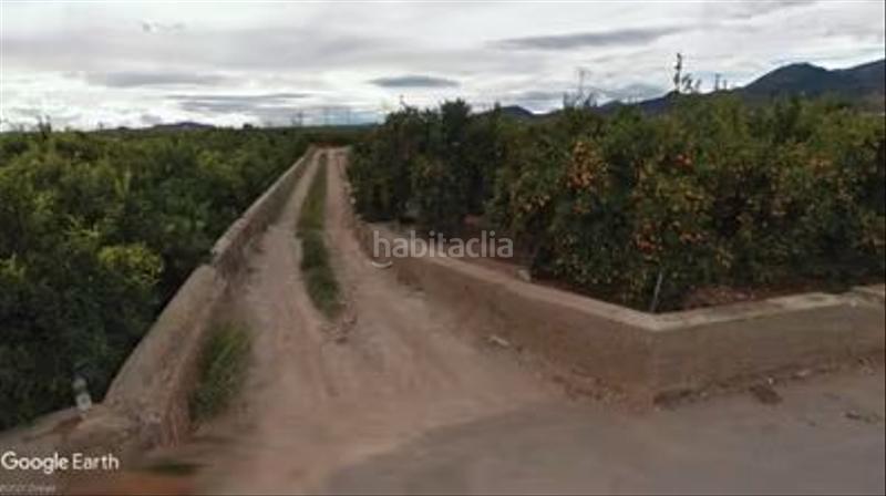 Foto f542dd1b-072a-4b0a-9c1c-09c074dcedc4. Landgut in Nules