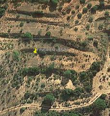 Finca rústica a Teresa de Cofrentes. Parcela agrícola secano recreo