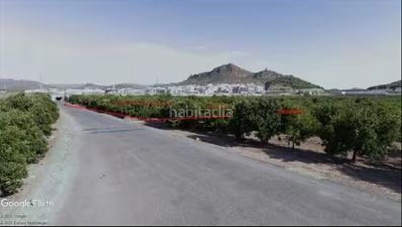 Foto 9d249991-d405-4d97-afd3-f048f1eb9e83. Fondo rustico in Almenara