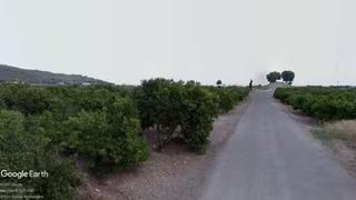 Finca rústica a Almenara. Agrios de regadío, uso recreativo