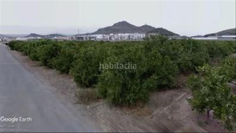 Foto c598a1cb-7e4a-411b-8edc-edba2bd00430. Fondo rustico in Almenara