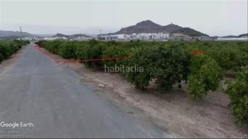 Foto c991851f-43bf-4c34-8e5d-4cfb34a7ab65. Fondo rustico in Almenara