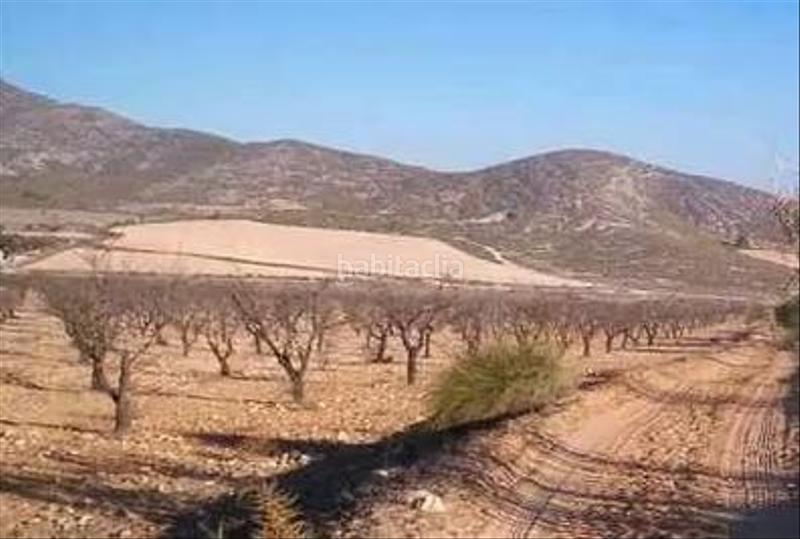 Foto 19c7b11b-ab65-43ba-bba2-5a7bb831831c. Finca rústica a El Carril - Paseo de Chapi Villena